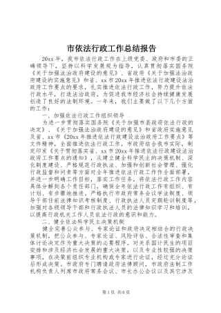 市依法行政工作总结报告