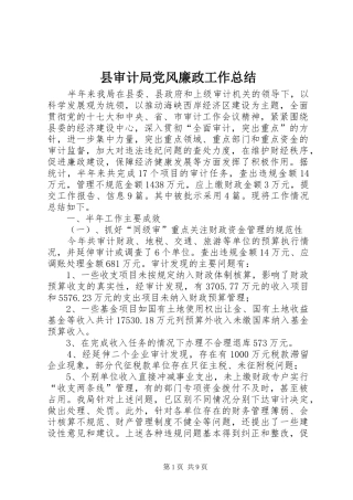 县审计局党风廉政工作总结