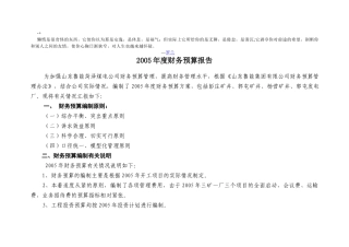 czoigv2005年度财务预算(二稿)