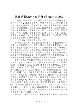 团县委书记赴上海团市委挂职学习总结