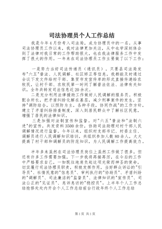 司法协理员个人工作总结