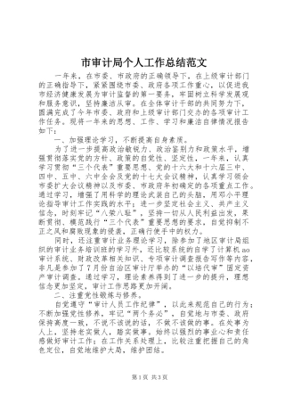 市审计局个人工作总结范文