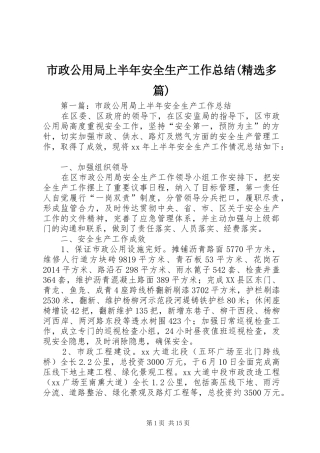 市政公用局上半年安全生产工作总结(精选多篇)
