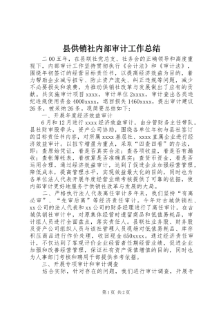 县供销社内部审计工作总结