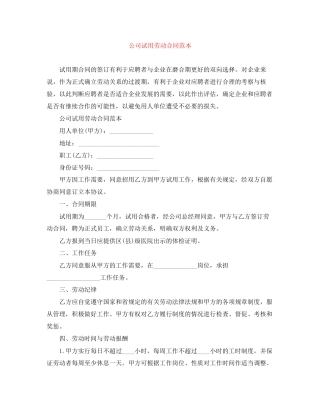 公司试用劳动合同范本