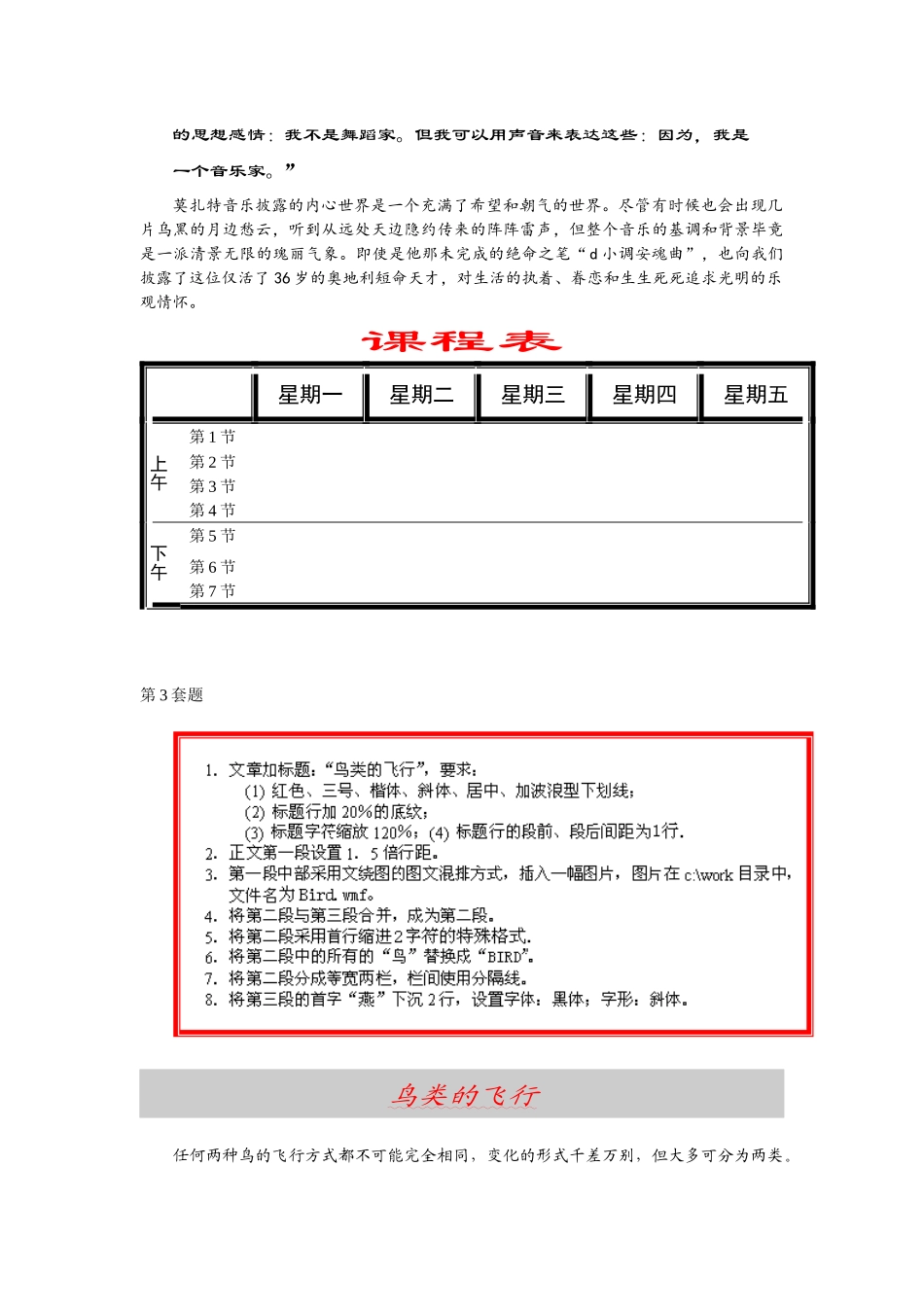 会计电算化考试Word题_第3页