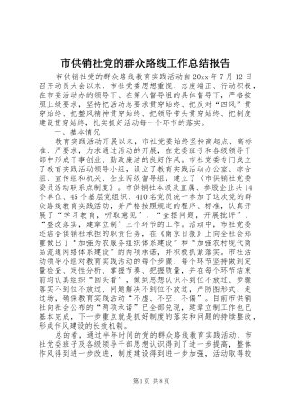 市供销社党的群众路线工作总结报告
