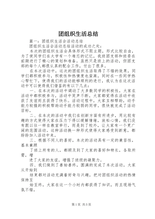 团组织生活总结