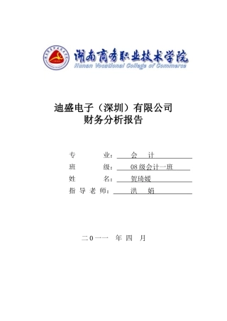 迪盛电子(深圳)有限公司财务分析报告