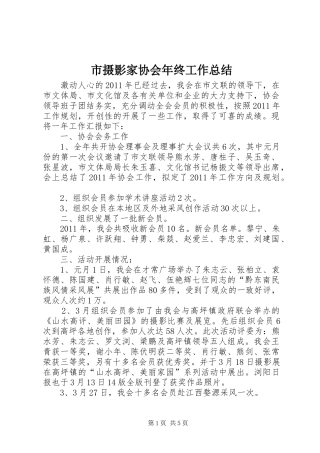 市摄影家协会年终工作总结