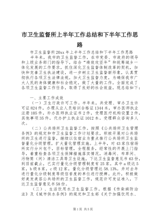 市卫生监督所上半年工作总结和下半年工作思路