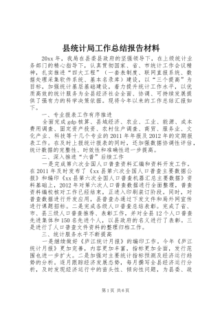 县统计局工作总结报告材料