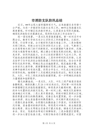 市消防支队防汛总结