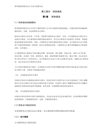 XX集团有限责任公司财务报告（15）