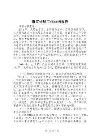 市审计局工作总结报告
