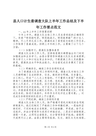 县人口计生委调查大队上半年工作总结及下半年工作要点范文