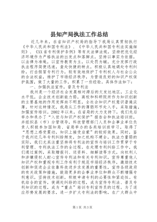 县知产局执法工作总结