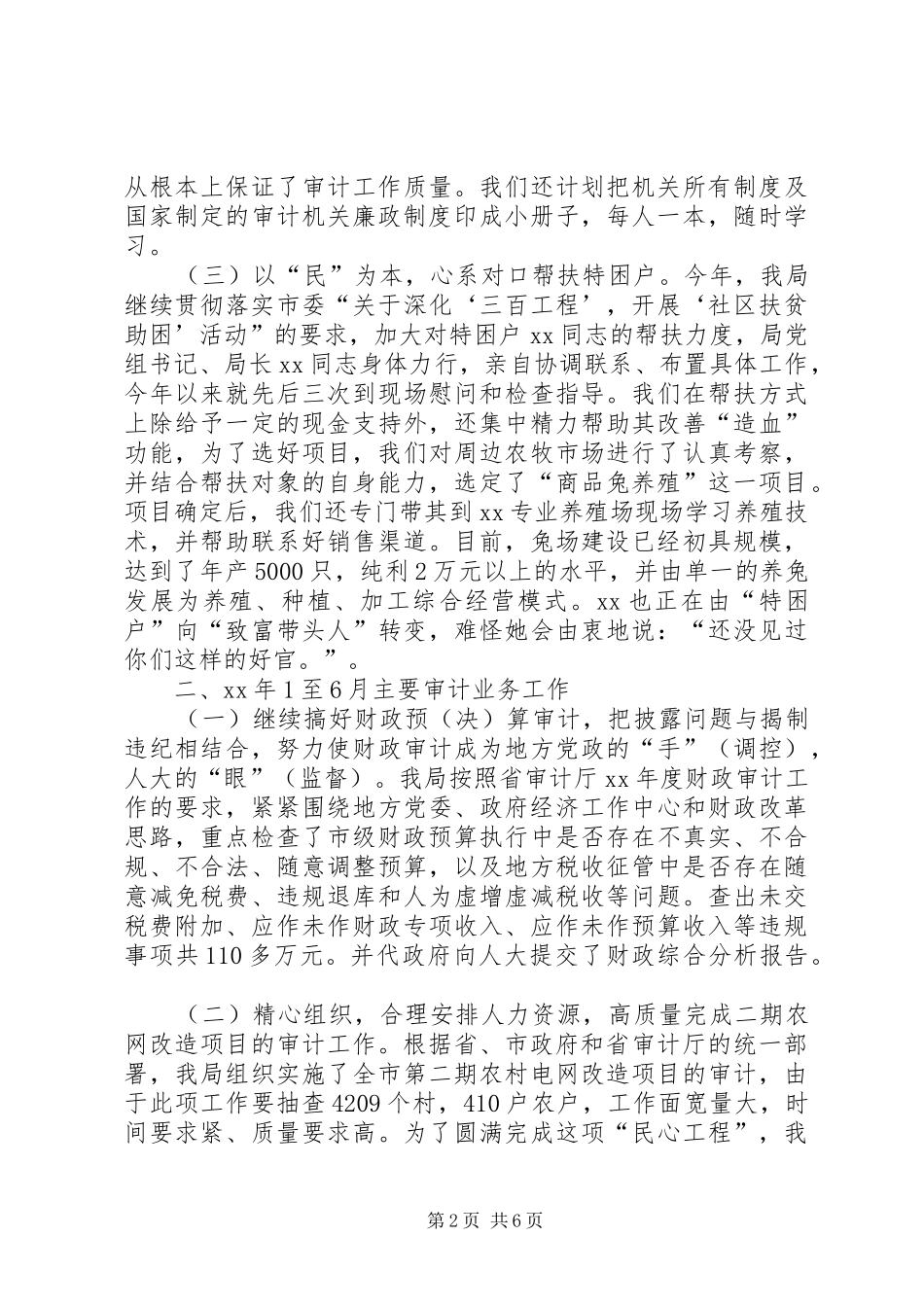 市审计局XX年上半年工作总结_第2页