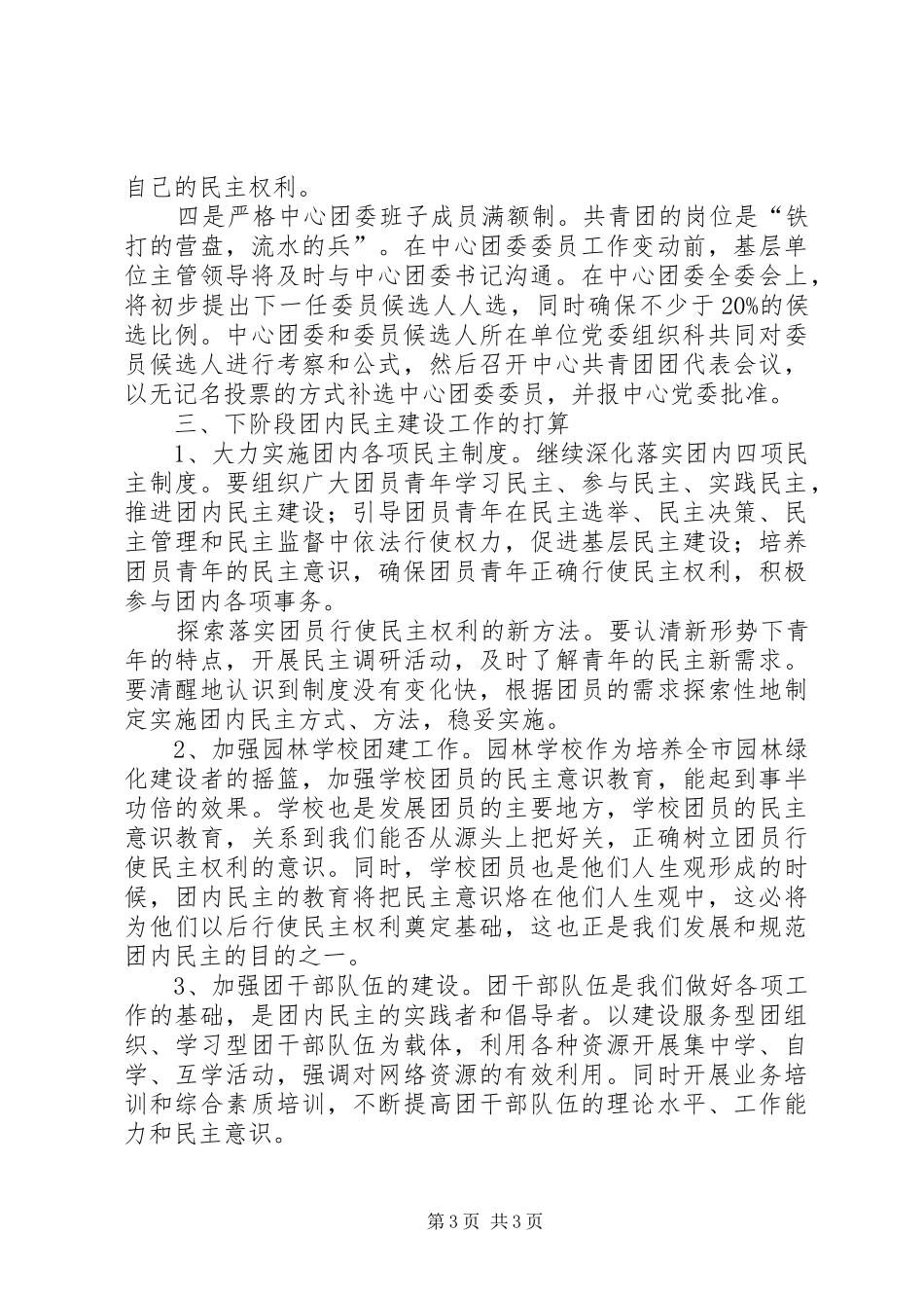 团委团内民主建设工作总结-团委工作总结_第3页