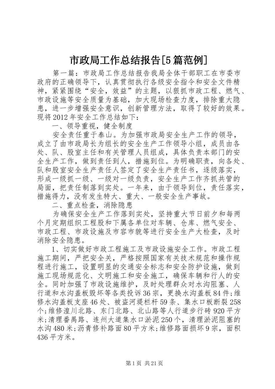 市政局工作总结报告[5篇范例]_第1页