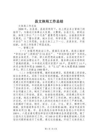 县文体局工作总结