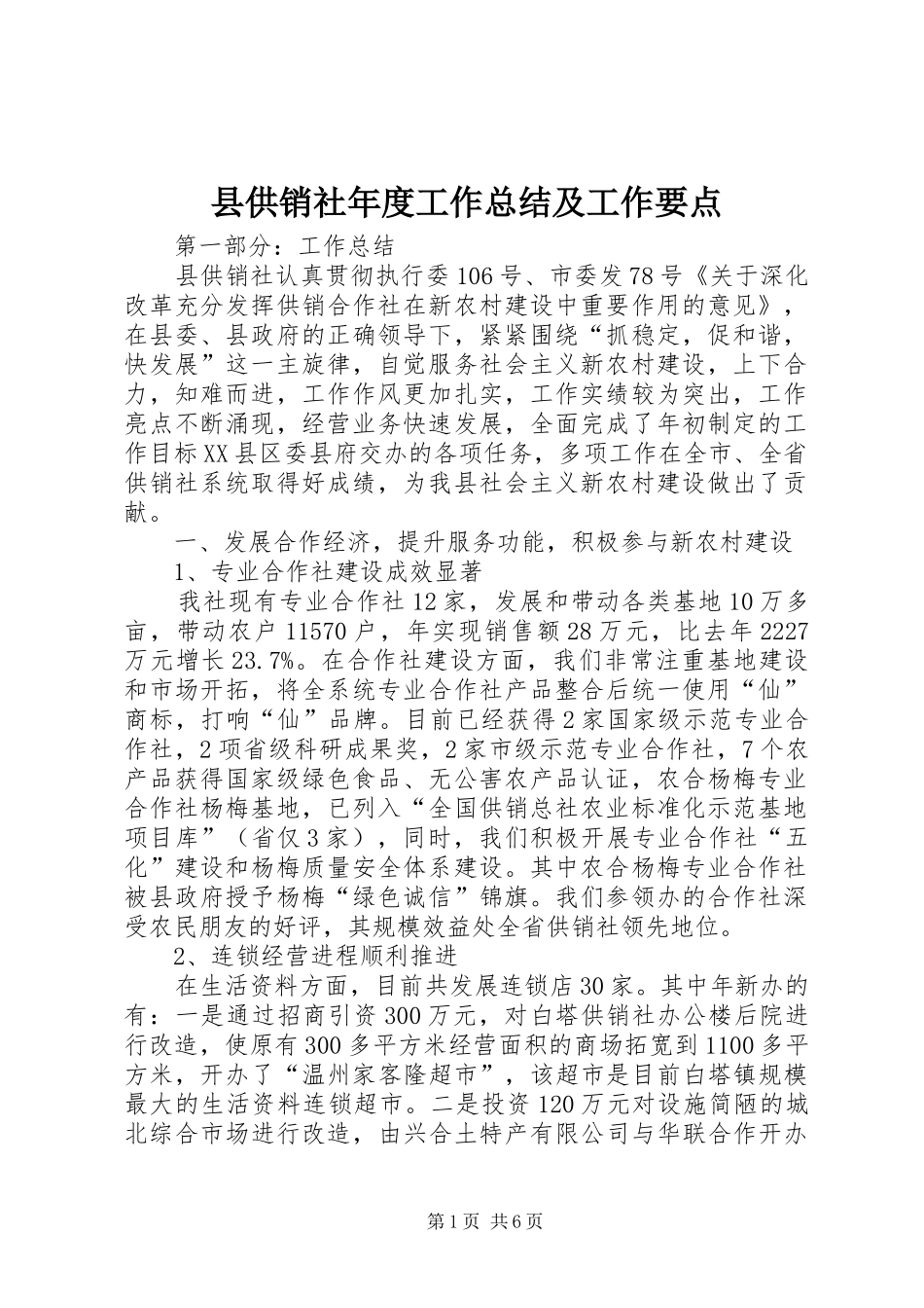 县供销社年度工作总结及工作要点_第1页