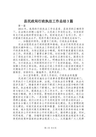 县民政局行政执法工作总结3篇