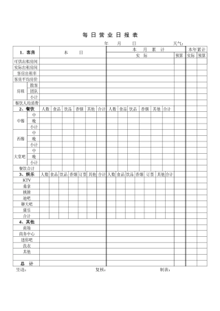 财务部系列表单-每日营业日报表
