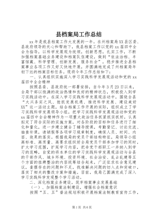 县档案局工作总结