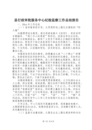 县行政审批服务中心纪检监察工作总结报告