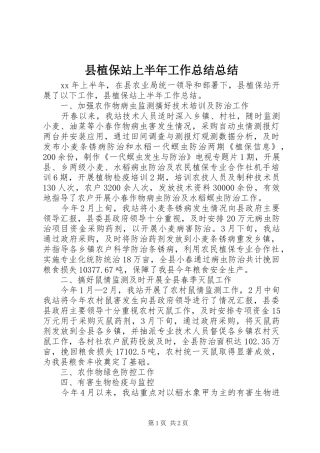 县植保站上半年工作总结总结