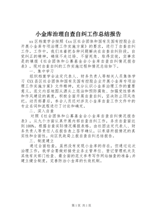 小金库治理自查自纠工作总结报告