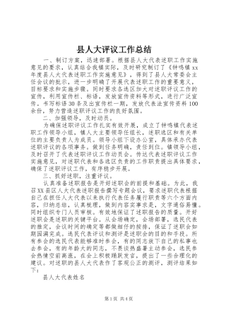县人大评议工作总结