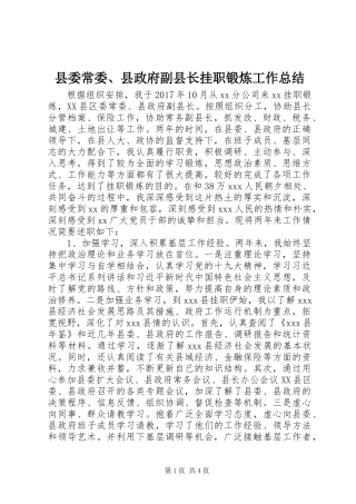 县委常委、县政府副县长挂职锻炼工作总结