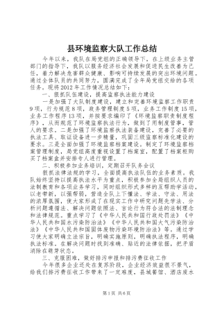 县环境监察大队工作总结
