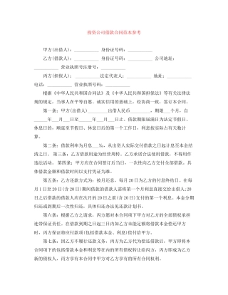 投资公司借款合同范本参考