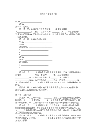 电视剧合作拍摄合同