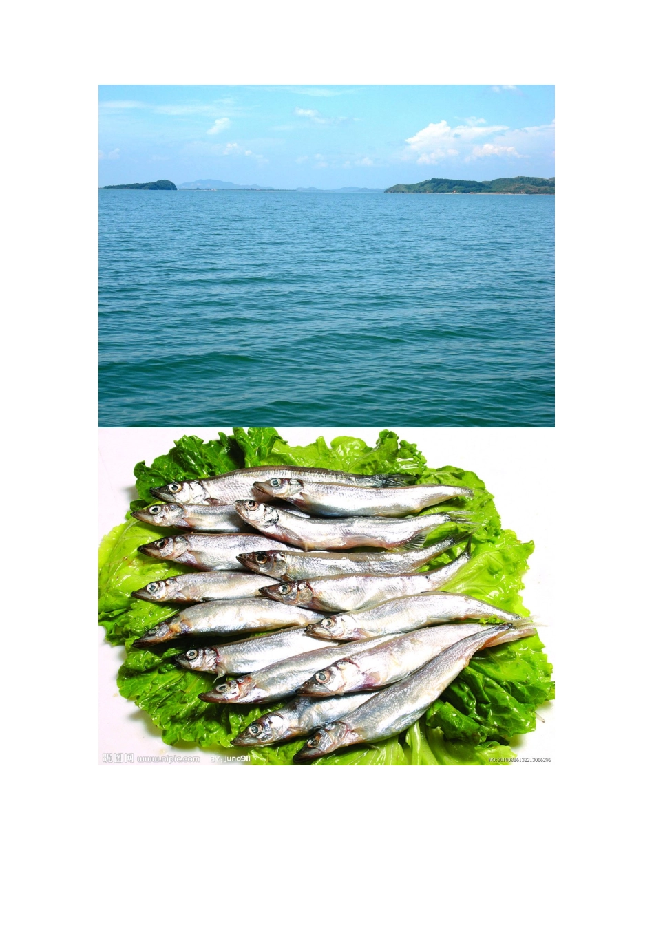 鄱阳湖生态经济区与财务知识分析规划_第2页