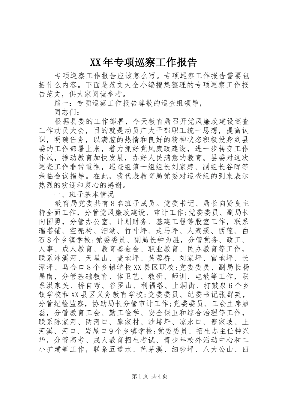 XX年专项巡察工作报告_第1页