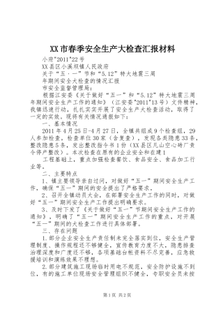 XX市春季安全生产大检查汇报材料