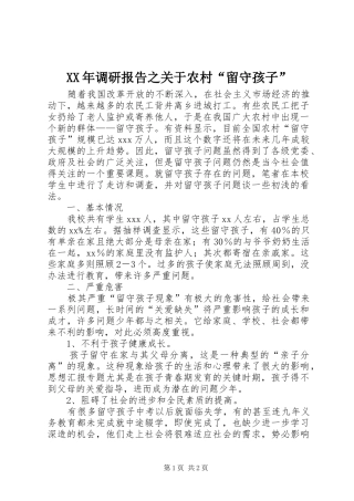 XX年调研报告之关于农村“留守孩子”