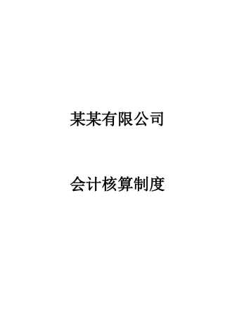 某公司会计核算制度( 38页)