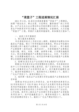 “菜篮子”工程进展情况汇报