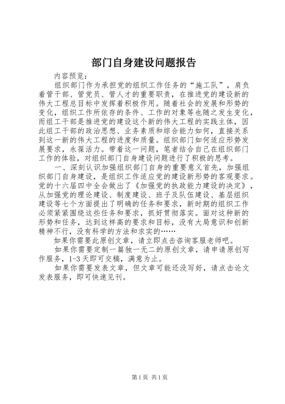 部门自身建设问题报告_第1页