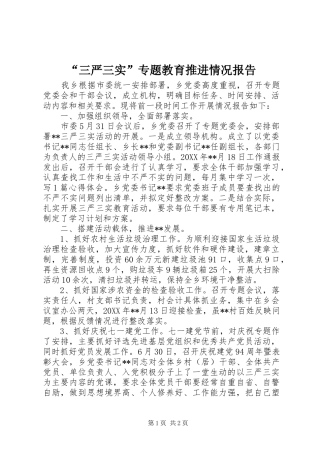 “三严三实”专题教育推进情况报告