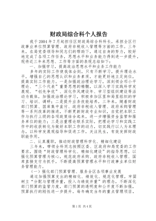 财政局综合科个人报告