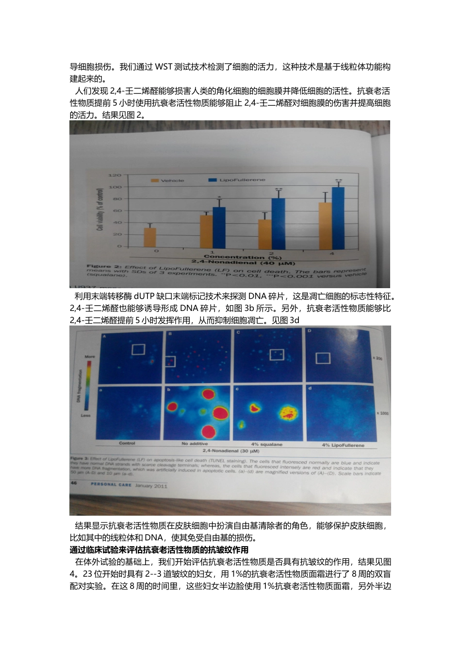 降低皮肤中的自由基可以使皮肤变得光滑_第3页