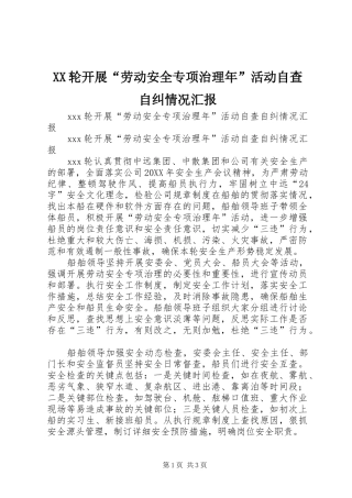XX轮开展“劳动安全专项治理年”活动自查自纠情况汇报
