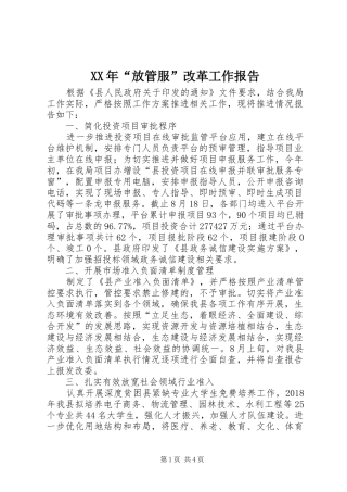 XX年“放管服”改革工作报告