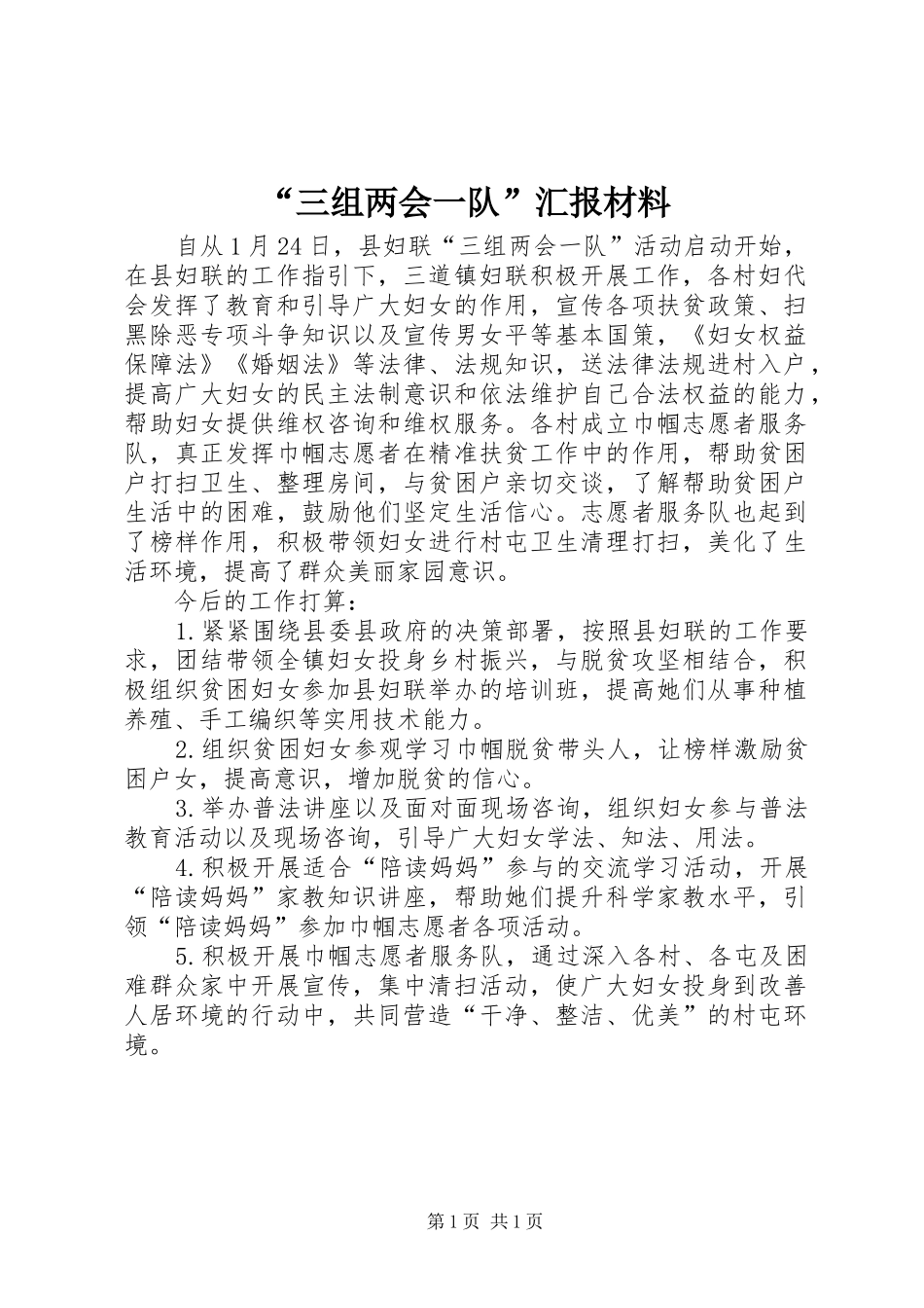 “三组两会一队”汇报材料_第1页